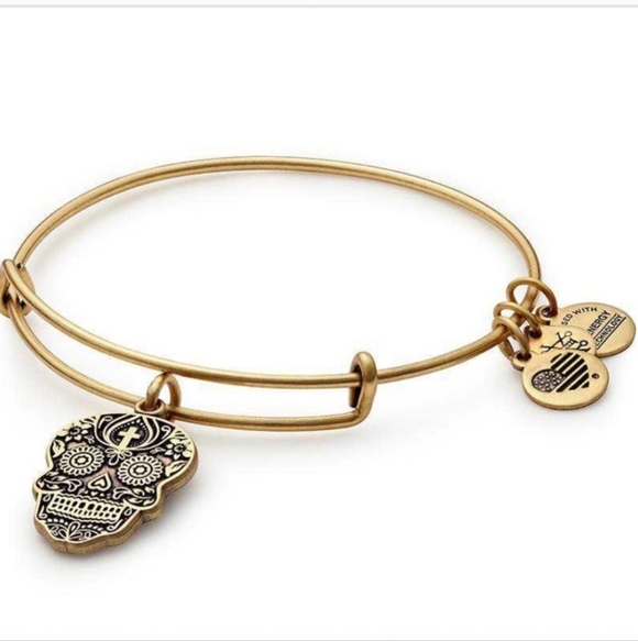 🌟Alex & Ani Retired Calavera Sugar Skull Expandable bracelet NIB - Picture 1 of 4